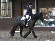 Image 12 in DRESSAGE AT WORLD HORSE WELFARE. 6 APRIL 2019