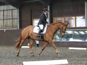 Image 13 in DRESSAGE AT WORLD HORSE WELFARE. 6 APRIL 2019