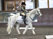 Image 132 in DRESSAGE AT WORLD HORSE WELFARE. 6 APRIL 2019
