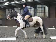 Image 137 in DRESSAGE AT WORLD HORSE WELFARE. 6 APRIL 2019