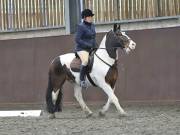 Image 139 in DRESSAGE AT WORLD HORSE WELFARE. 6 APRIL 2019