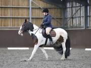 Image 142 in DRESSAGE AT WORLD HORSE WELFARE. 6 APRIL 2019