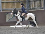 Image 144 in DRESSAGE AT WORLD HORSE WELFARE. 6 APRIL 2019