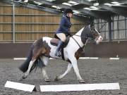 Image 146 in DRESSAGE AT WORLD HORSE WELFARE. 6 APRIL 2019
