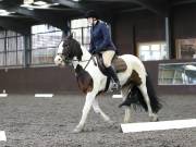 Image 148 in DRESSAGE AT WORLD HORSE WELFARE. 6 APRIL 2019
