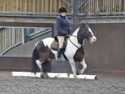 Image 153 in DRESSAGE AT WORLD HORSE WELFARE. 6 APRIL 2019