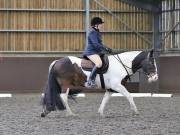 Image 155 in DRESSAGE AT WORLD HORSE WELFARE. 6 APRIL 2019