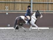 Image 156 in DRESSAGE AT WORLD HORSE WELFARE. 6 APRIL 2019