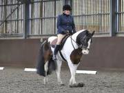 Image 157 in DRESSAGE AT WORLD HORSE WELFARE. 6 APRIL 2019
