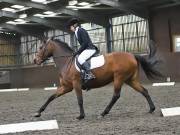 Image 16 in DRESSAGE AT WORLD HORSE WELFARE. 6 APRIL 2019