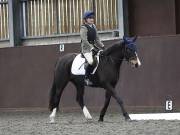 Image 24 in DRESSAGE AT WORLD HORSE WELFARE. 6 APRIL 2019