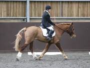 Image 26 in DRESSAGE AT WORLD HORSE WELFARE. 6 APRIL 2019