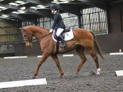 Image 28 in DRESSAGE AT WORLD HORSE WELFARE. 6 APRIL 2019