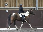 Image 33 in DRESSAGE AT WORLD HORSE WELFARE. 6 APRIL 2019