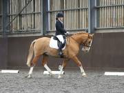Image 42 in DRESSAGE AT WORLD HORSE WELFARE. 6 APRIL 2019