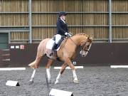 Image 43 in DRESSAGE AT WORLD HORSE WELFARE. 6 APRIL 2019