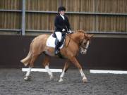 Image 45 in DRESSAGE AT WORLD HORSE WELFARE. 6 APRIL 2019