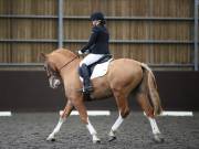 Image 48 in DRESSAGE AT WORLD HORSE WELFARE. 6 APRIL 2019