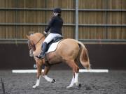 Image 49 in DRESSAGE AT WORLD HORSE WELFARE. 6 APRIL 2019