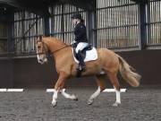 Image 59 in DRESSAGE AT WORLD HORSE WELFARE. 6 APRIL 2019