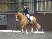 Image 65 in DRESSAGE AT WORLD HORSE WELFARE. 6 APRIL 2019