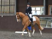 Image 67 in DRESSAGE AT WORLD HORSE WELFARE. 6 APRIL 2019