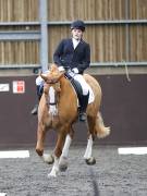Image 69 in DRESSAGE AT WORLD HORSE WELFARE. 6 APRIL 2019
