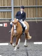 Image 69 in DRESSAGE AT WORLD HORSE WELFARE. 6 APRIL 2019