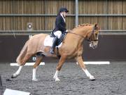 Image 73 in DRESSAGE AT WORLD HORSE WELFARE. 6 APRIL 2019