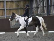 Image 77 in DRESSAGE AT WORLD HORSE WELFARE. 6 APRIL 2019