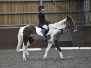 Image 95 in DRESSAGE AT WORLD HORSE WELFARE. 6 APRIL 2019