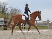 BROADLAND EQUESTRIAN CENTRE. DRESSAGE. 13 APRIL 2019