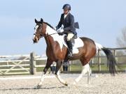 Image 100 in BROADLAND EQUESTRIAN CENTRE. DRESSAGE. 13 APRIL 2019