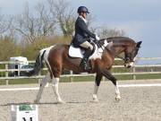 Image 106 in BROADLAND EQUESTRIAN CENTRE. DRESSAGE. 13 APRIL 2019