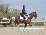 Image 107 in BROADLAND EQUESTRIAN CENTRE. DRESSAGE. 13 APRIL 2019