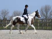 Image 11 in BROADLAND EQUESTRIAN CENTRE. DRESSAGE. 13 APRIL 2019