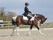 Image 112 in BROADLAND EQUESTRIAN CENTRE. DRESSAGE. 13 APRIL 2019