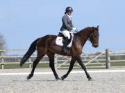 Image 14 in BROADLAND EQUESTRIAN CENTRE. DRESSAGE. 13 APRIL 2019