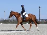 Image 16 in BROADLAND EQUESTRIAN CENTRE. DRESSAGE. 13 APRIL 2019