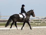 Image 2 in BROADLAND EQUESTRIAN CENTRE. DRESSAGE. 13 APRIL 2019