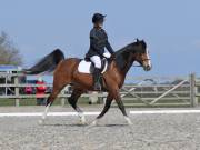 Image 22 in BROADLAND EQUESTRIAN CENTRE. DRESSAGE. 13 APRIL 2019