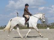 Image 29 in BROADLAND EQUESTRIAN CENTRE. DRESSAGE. 13 APRIL 2019