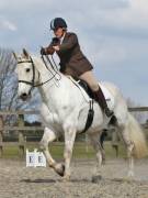 Image 34 in BROADLAND EQUESTRIAN CENTRE. DRESSAGE. 13 APRIL 2019