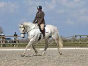 Image 35 in BROADLAND EQUESTRIAN CENTRE. DRESSAGE. 13 APRIL 2019