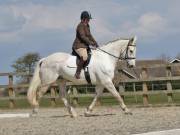 Image 39 in BROADLAND EQUESTRIAN CENTRE. DRESSAGE. 13 APRIL 2019