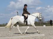 Image 4 in BROADLAND EQUESTRIAN CENTRE. DRESSAGE. 13 APRIL 2019