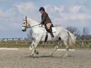 Image 42 in BROADLAND EQUESTRIAN CENTRE. DRESSAGE. 13 APRIL 2019