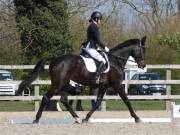 Image 50 in BROADLAND EQUESTRIAN CENTRE. DRESSAGE. 13 APRIL 2019