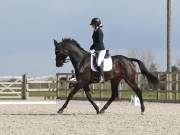 Image 51 in BROADLAND EQUESTRIAN CENTRE. DRESSAGE. 13 APRIL 2019