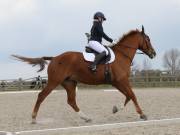 Image 6 in BROADLAND EQUESTRIAN CENTRE. DRESSAGE. 13 APRIL 2019